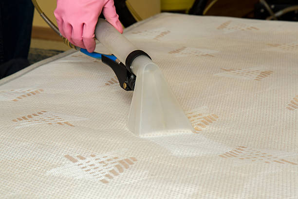 Mattress or bed chemical cleaning with professionally extraction method. Early spring cleaning or regular clean up.