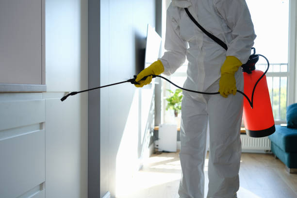 Worker in protective overalls and gloves disinfecting apartment. Disinsection concept