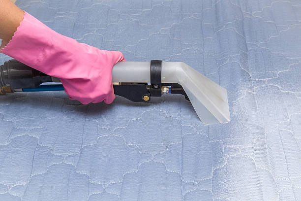 Mattress or bed chemical cleaning with professionally extraction method. Wet and dry zone. Early spring cleaning or regular clean up. Upholstered furniture.